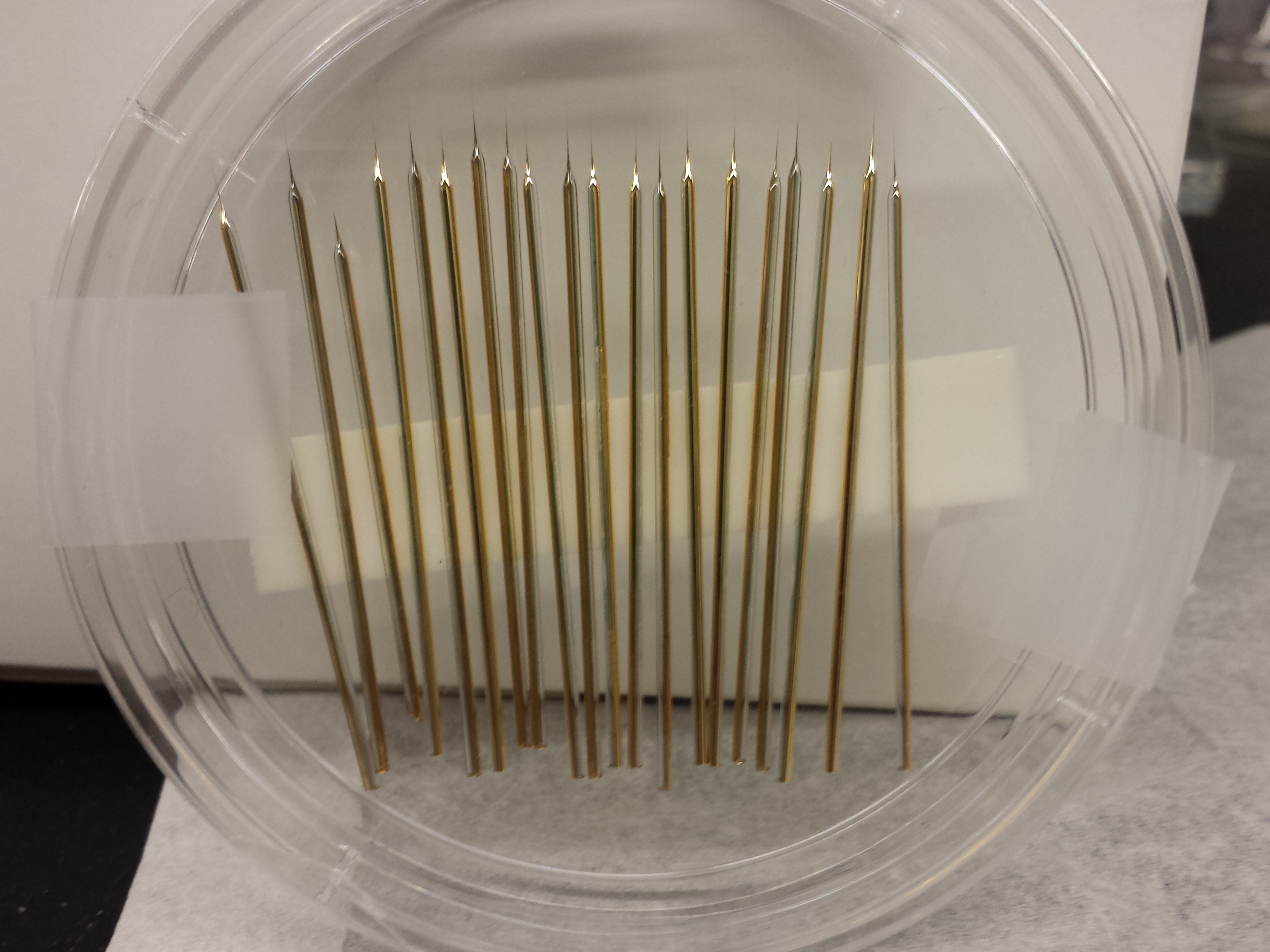 Gold-coated needles